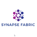 Synapse Fabric